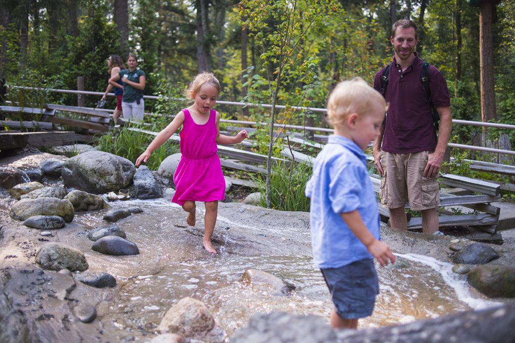 northwest trek playground